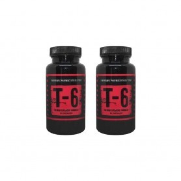 ZION LABS T-6 60 kapsul 2x Zion Labs
